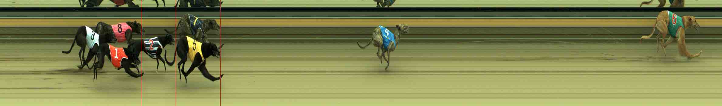 Race result finish photo